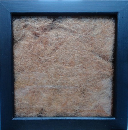 “Monochrome”, Des cheveux naturels colorés en roux, 18x18 cm, 2012. 